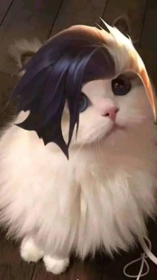 ai character: Grancat background