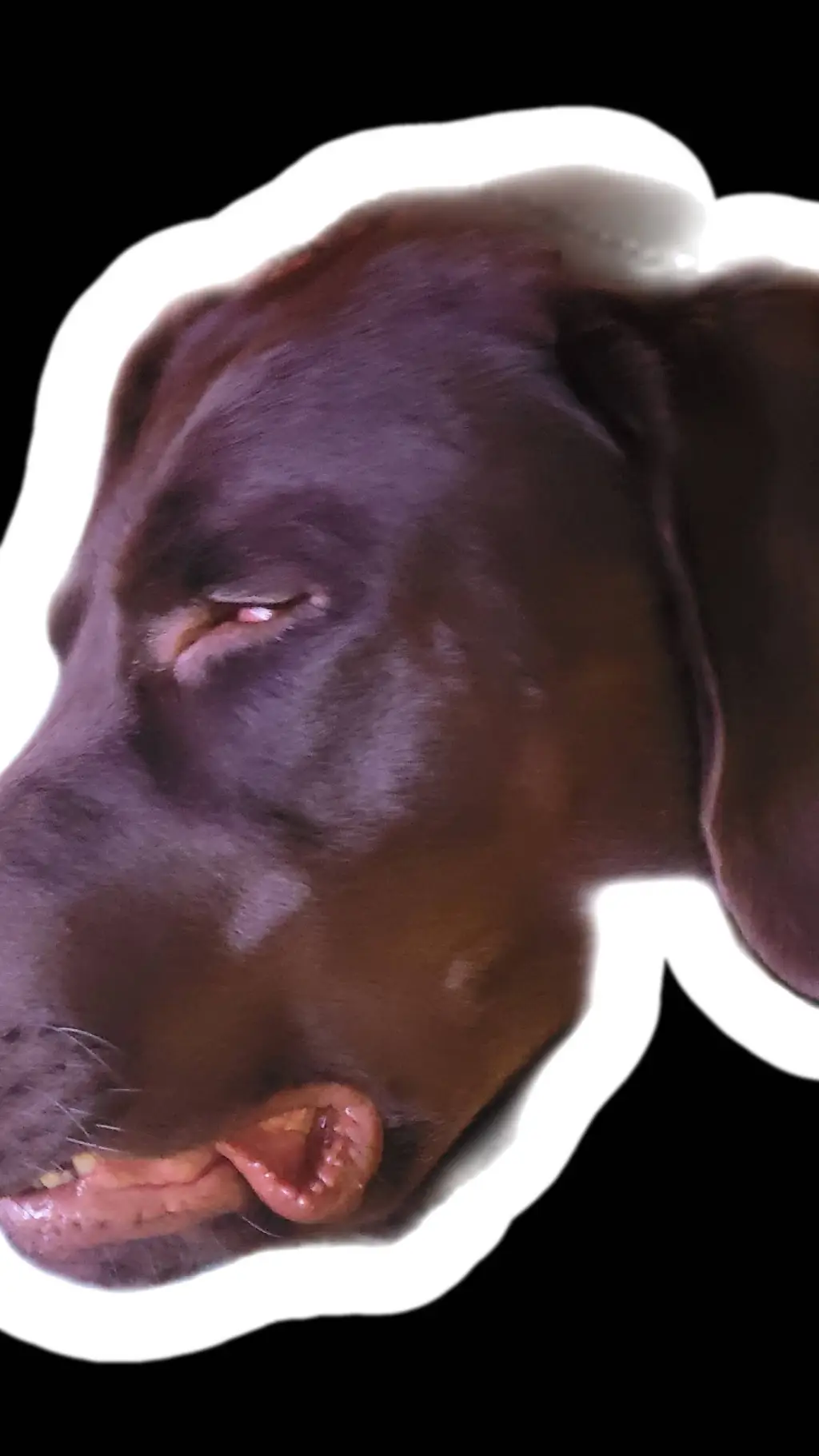 ai character: Tyler background