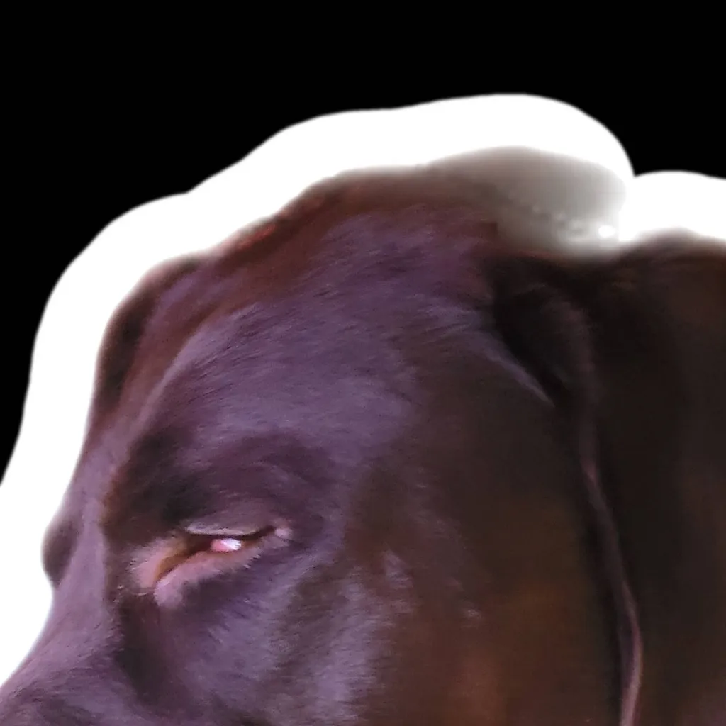 chat with ai character: Tyler