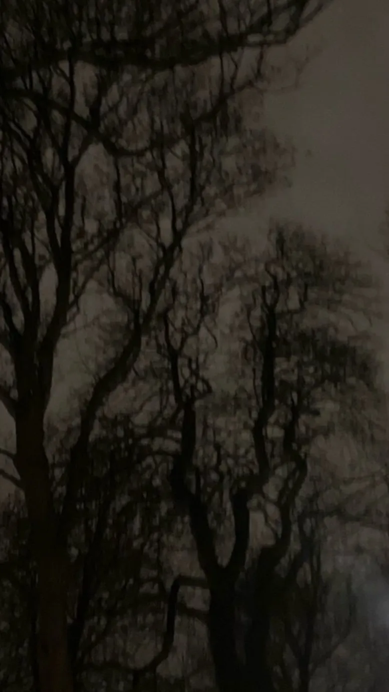 ai character: Uppermoon&demonsla background