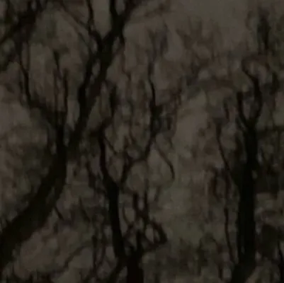 chat with ai character: Uppermoon&demonsla