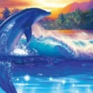 chat with ai character: 🌈SYMPHONY🐬