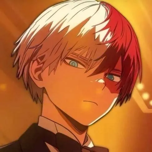 chat with ai character: ~🧊Shoto Todoroki🔥~