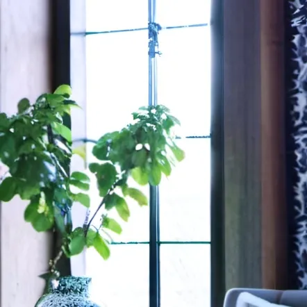 chat with ai character: MHA Pregnant