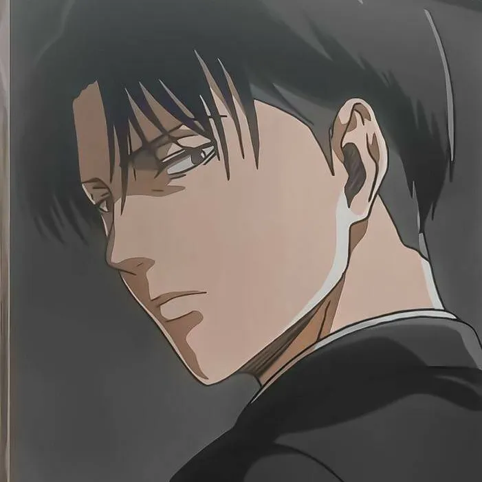 chat with ai character: Levi Ackerman