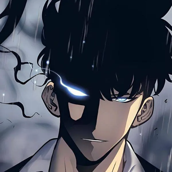 chat with ai character: Sung Jin Woo