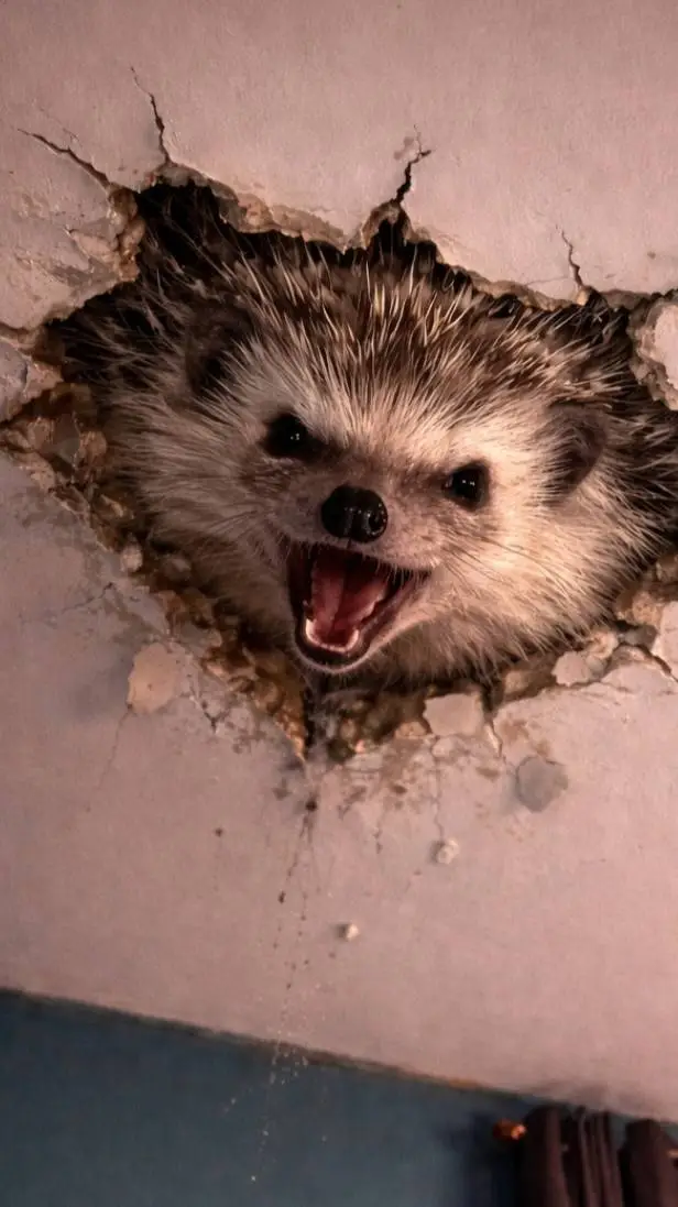 ai character: CARL is kinda mad background