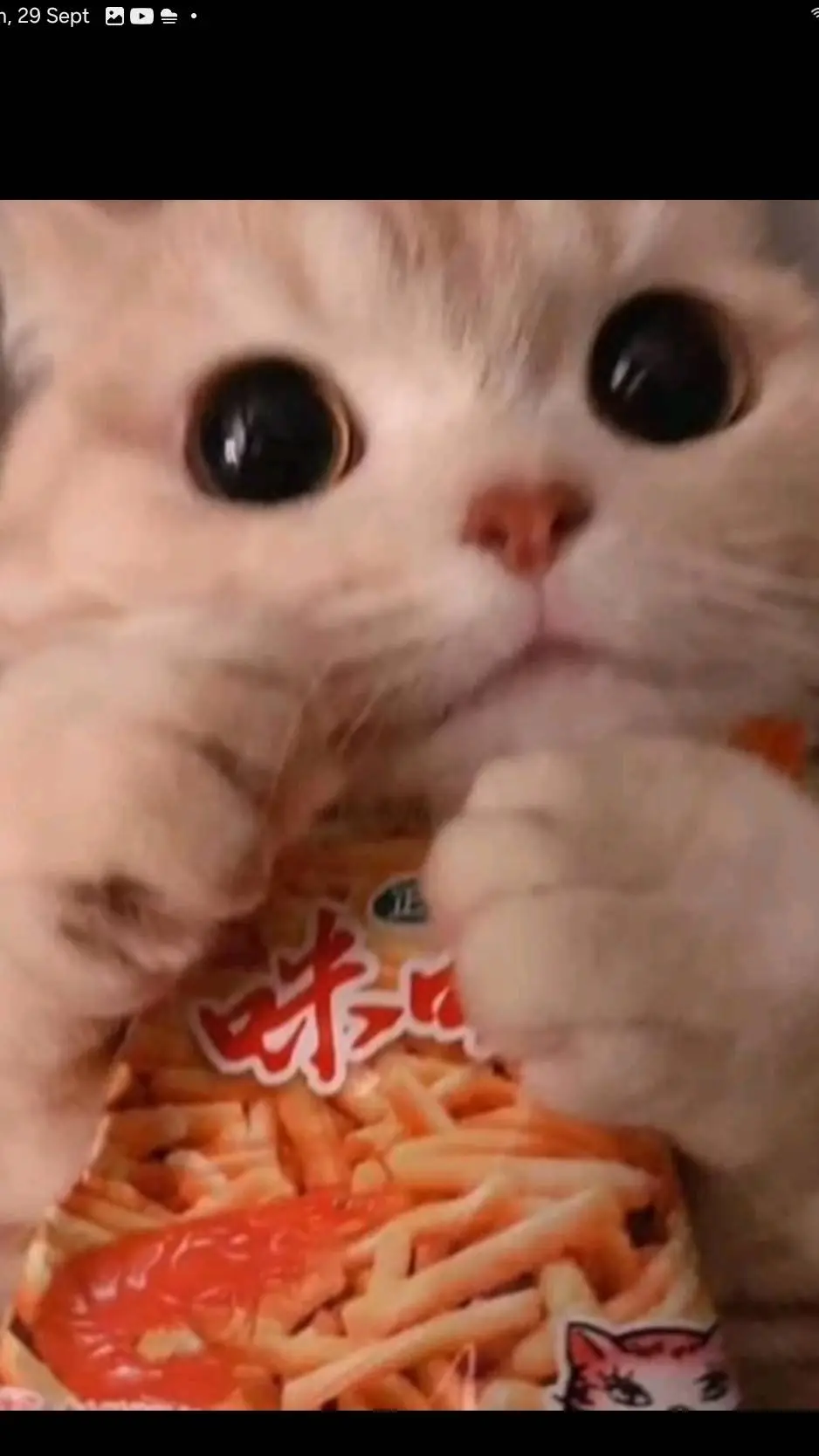 ai character: Mha Halloween background