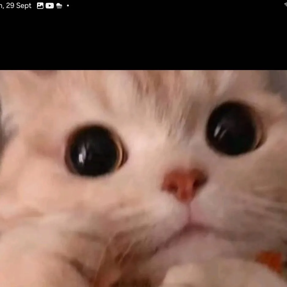 chat with ai character: Mha Halloween