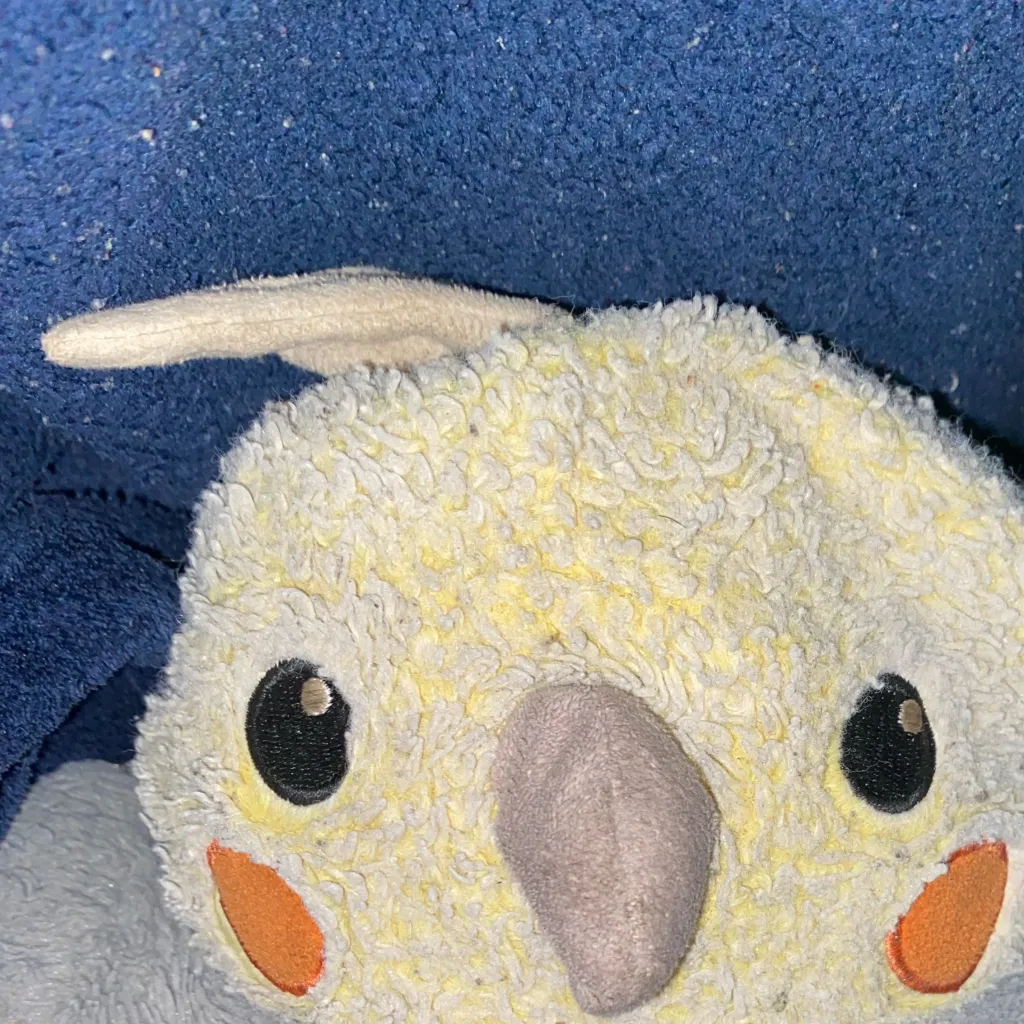 chat with ai character: Birdy