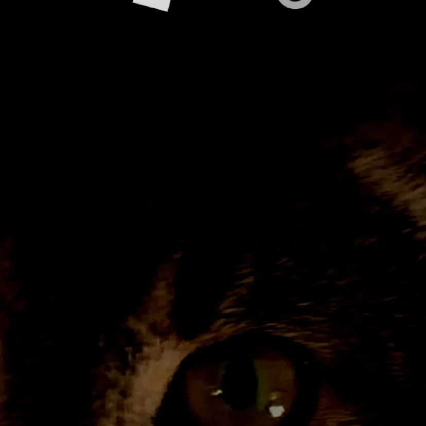 chat with ai character: Smiling critters 5