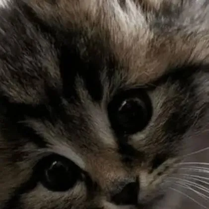 chat with ai character: do anything u want