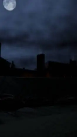 ai character: Fort Erie (L&B) background