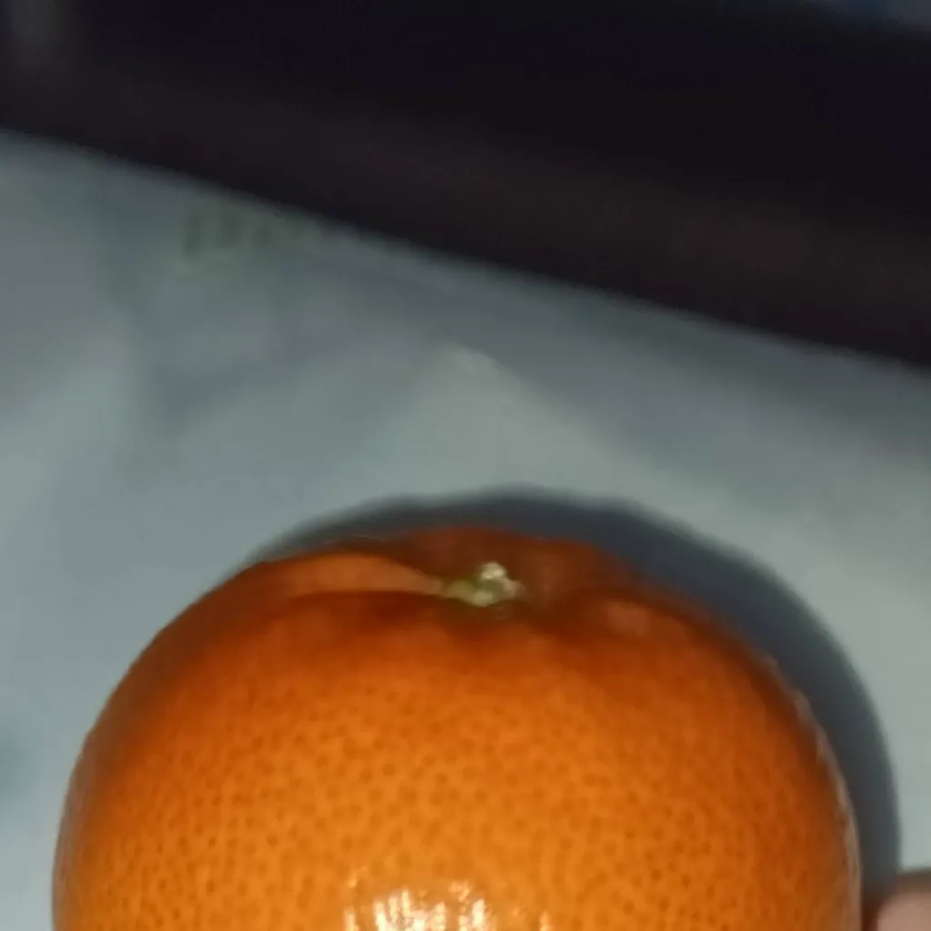 chat with ai character: orange