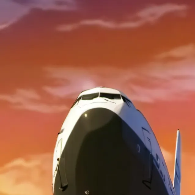 chat with ai character: plane crash