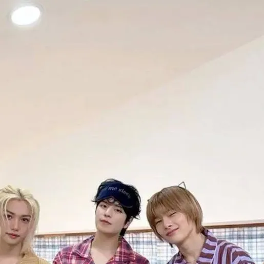 chat with ai character: SKZ! (sleepover)