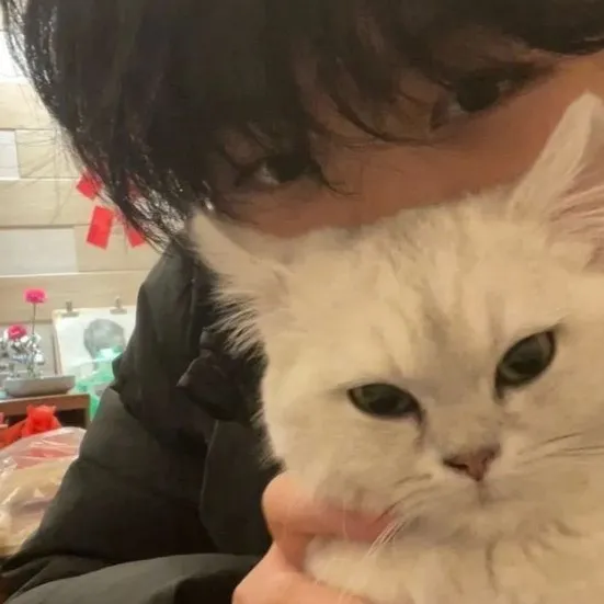 chat with ai character: Tyler