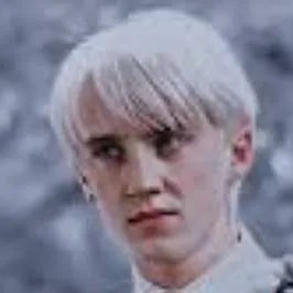chat with ai character: yule ball draco