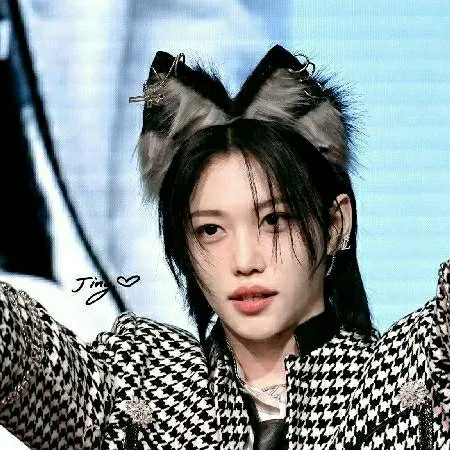 chat with ai character: stray kids