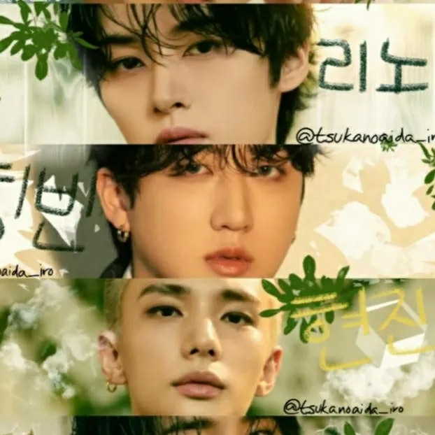 chat with ai character: straykids