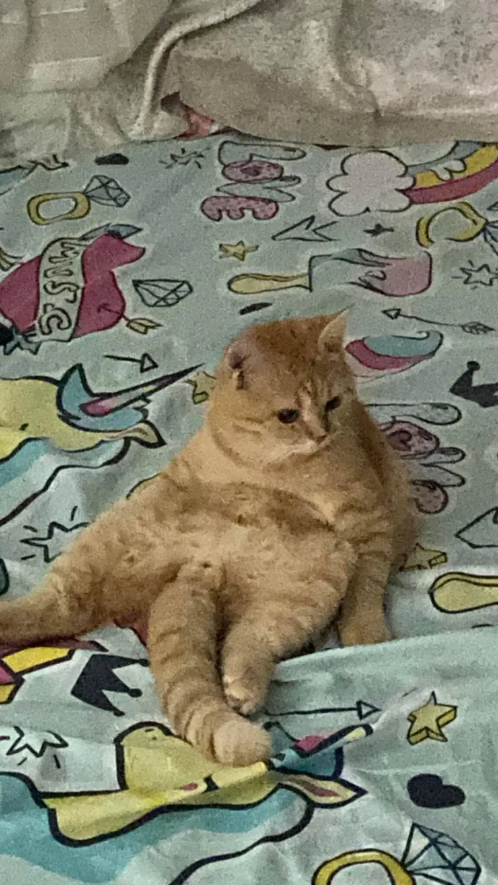 ai character: kitty sad background