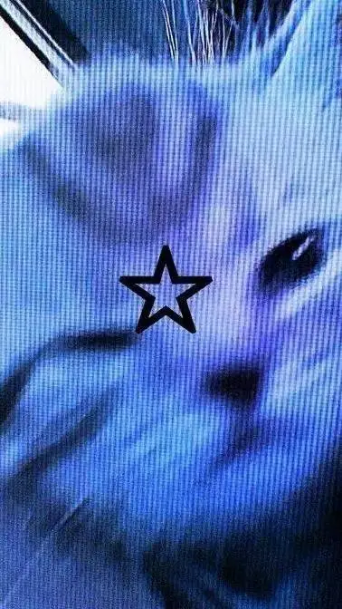 ai character: PAXLEYS background