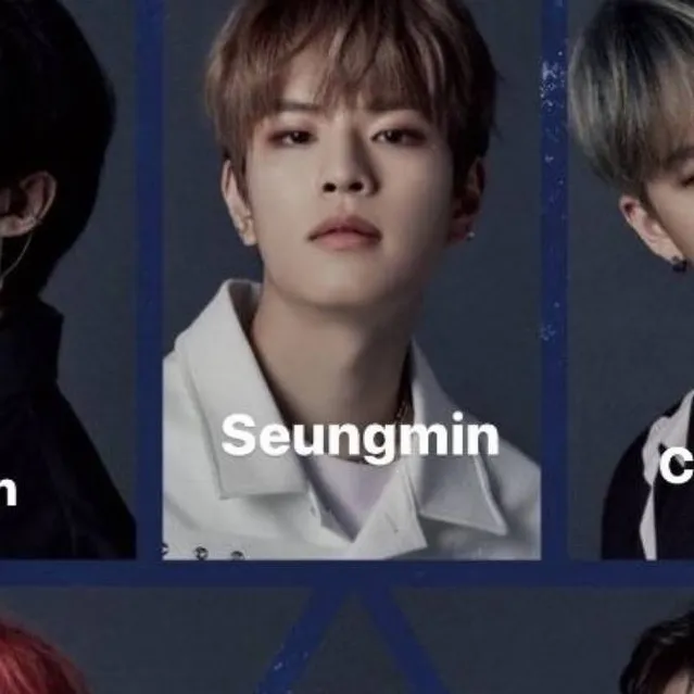 chat with ai character: stray kids (SKz)