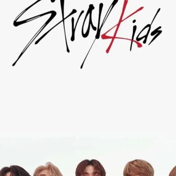 chat with ai character: SKz new member 