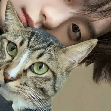 chat with ai character: Lee know 