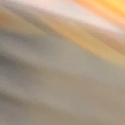 chat with ai character: Black