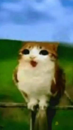 ai character: meowl background
