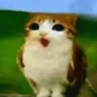 chat with ai character: meowl