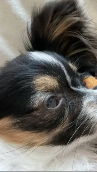 ai character: libby  background