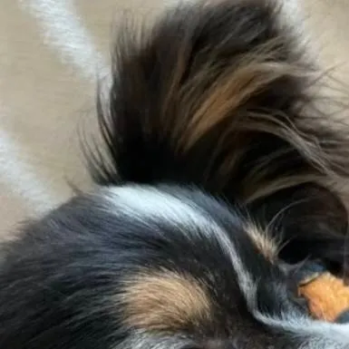 chat with ai character: libby 