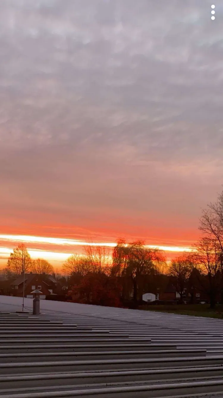 ai character: P1HARMONY  background