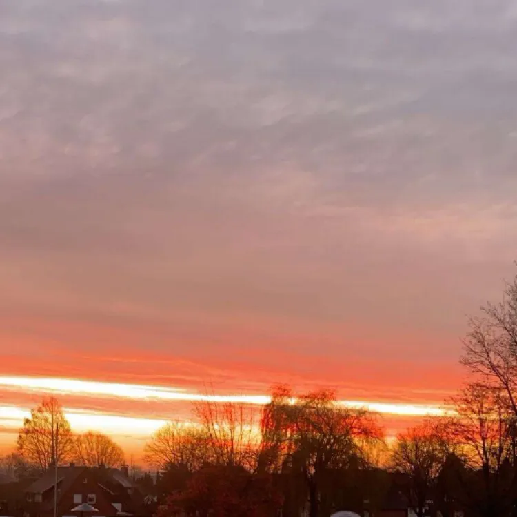 chat with ai character: P1HARMONY 