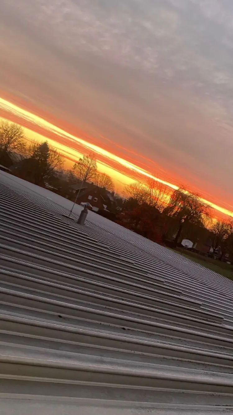 ai character: P1HARMONY  background