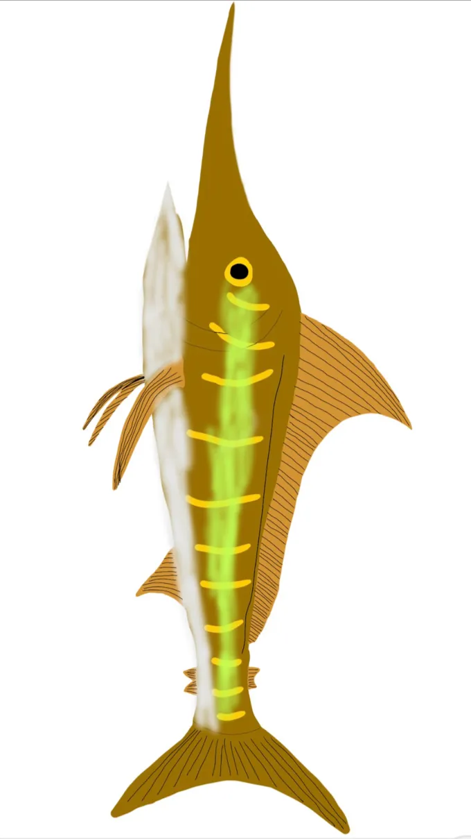 Talkie AI - Chat with Freshwater Marlin