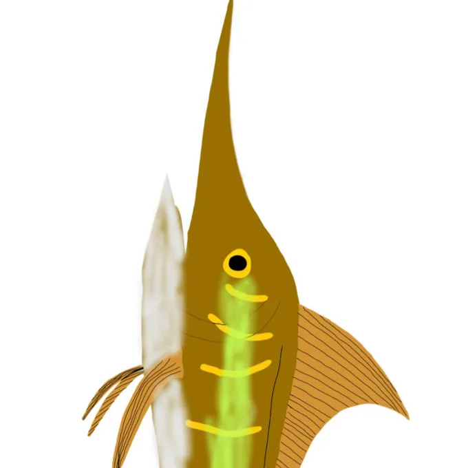 chat with ai character: Freshwater Marlin