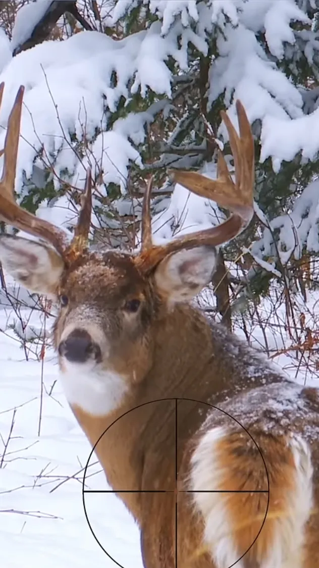 Talkie AI - Chat with Mature Buck