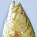 chat with ai character: Smallmouth Bass