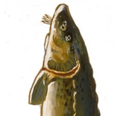 chat with ai character: Lake Sturgeon