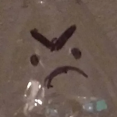 chat with ai character: lil jeffy