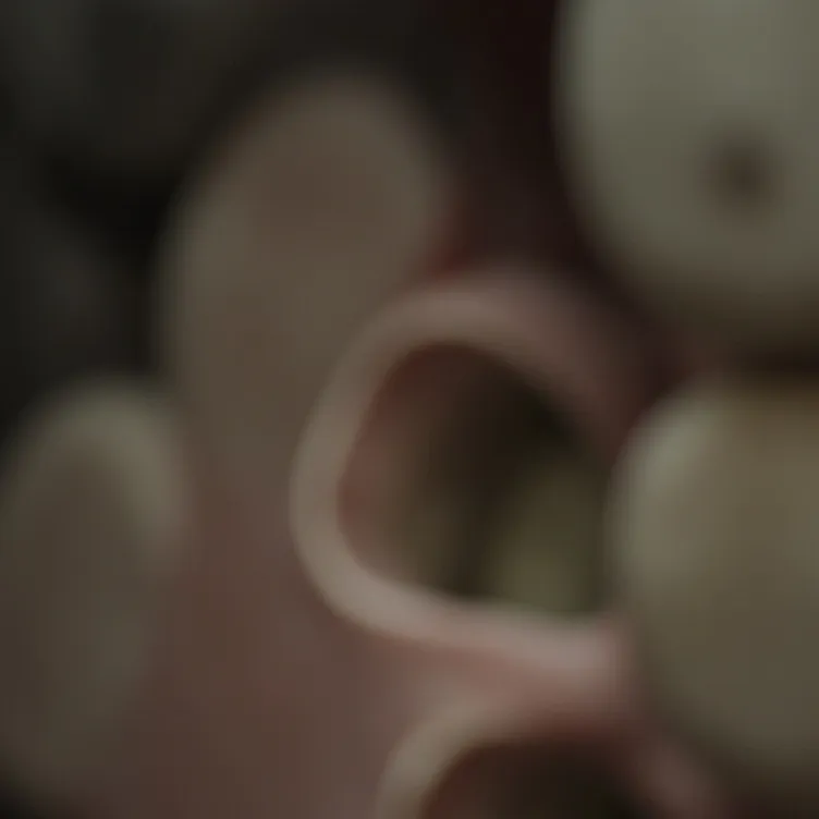 chat with ai character: trypophobia 