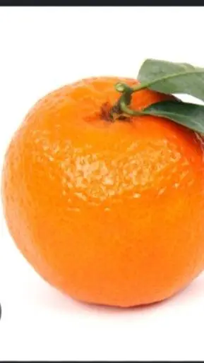 ai character: Mandarine background