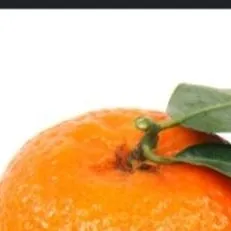 chat with ai character: Mandarine