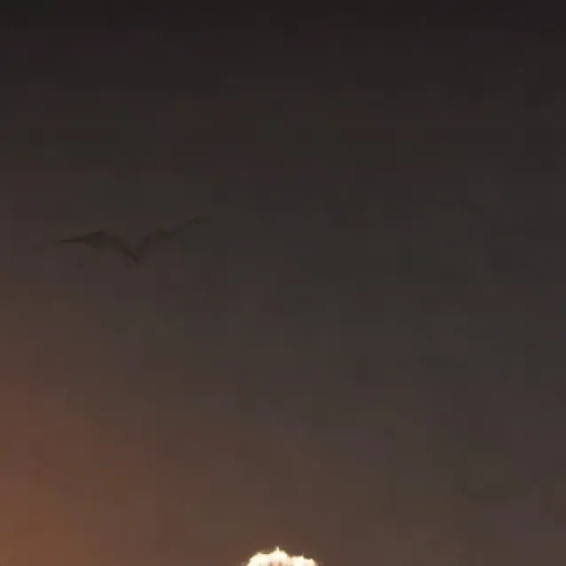 chat with ai character: grimmel