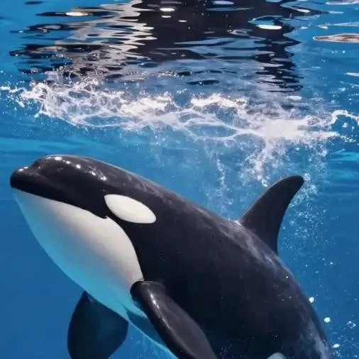 chat with ai character: seaworld!