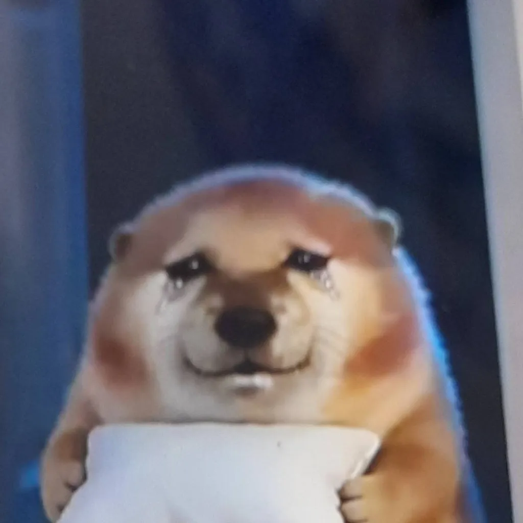 chat with ai character: Pipilabu owner