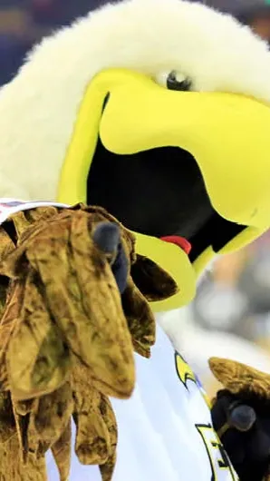 ai character: Colorado Eagles background